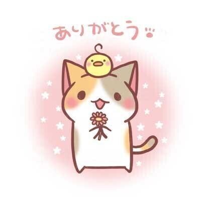 今日も出勤してます