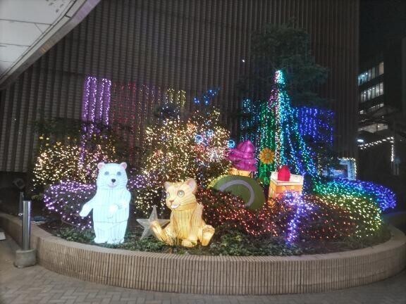 今日のご予定は？