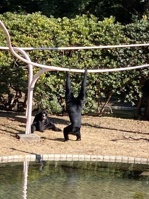 出勤予定変更になります