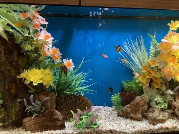 2月10日  お礼日記