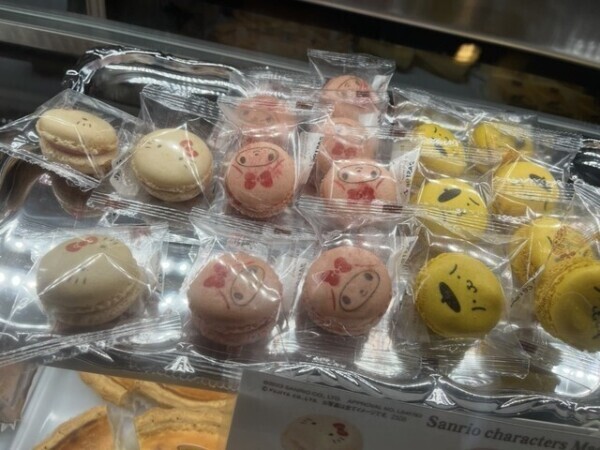 雨の日は…ひなたとぬくぬくしよ？☔️💗