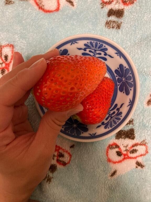 口づけを交わした日は