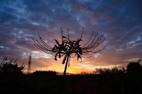 待機してます…💋