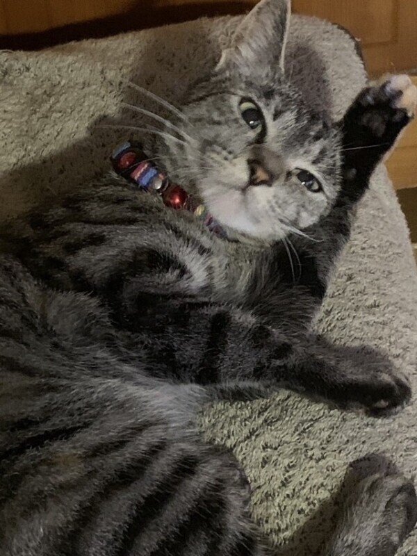 今すぐ会えるよ🫣💓にこるを独り占めして？