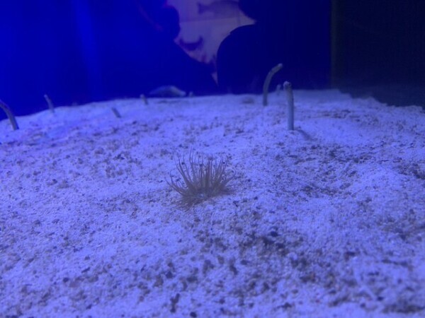 ねぇ…朝からこんなにムラムラしてるのバレちゃう？///