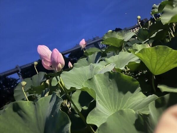 ほのとイチャイチャしよ…？💗