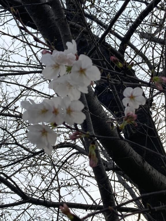 3月27日 お礼日記