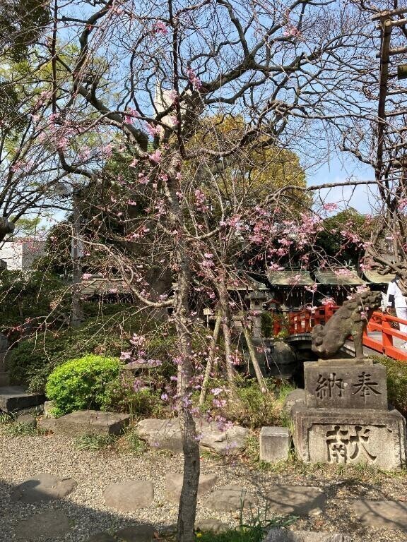 出勤しました(*^^*)