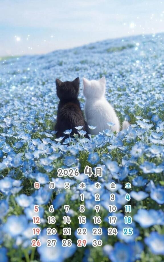 今週のシフト