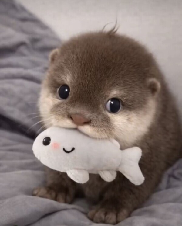 えっちなゆいな、独り占めしに来て…？💕
