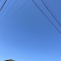 ゆいな