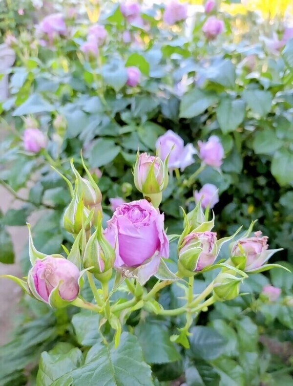 おはようございます😊