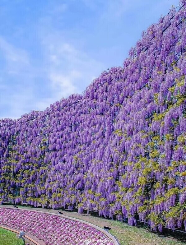 おはようございます(*^^*)