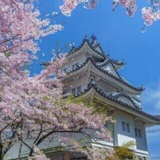 ちょっぴりドMで…