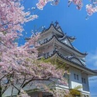 ほの