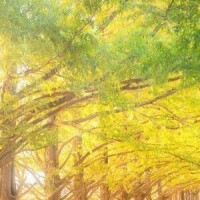 くみ