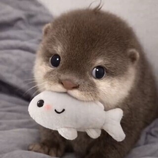 出勤しました💕たくさん癒させてください🥰