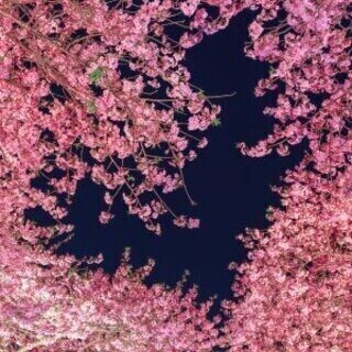 待機してます🐰💗