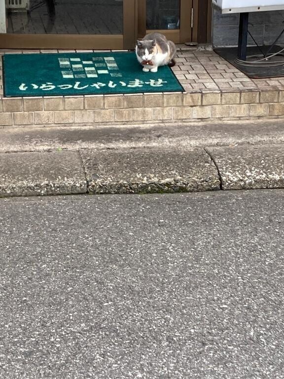 お礼日記