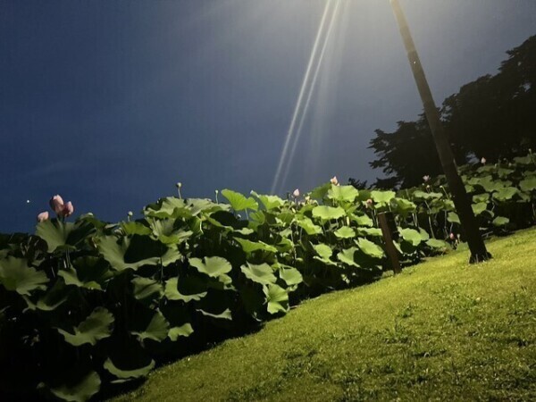 出勤したよっ💓今日はいっぱいイチャイチャしよ？🥰