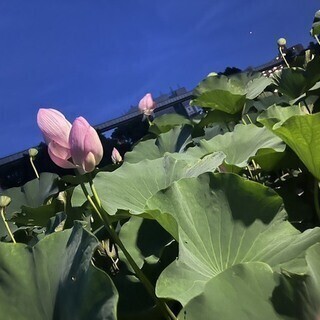 ただいま待機してますっ✨