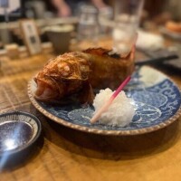 お魚大好き?