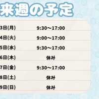 来週の予定！