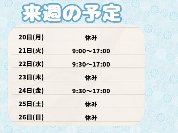 来週の予定