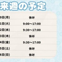 来週の予定