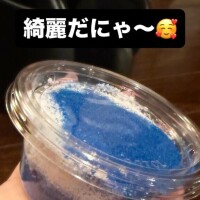 とっても綺麗だったね?