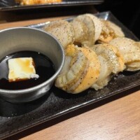 ﾎ ﾀ?( ? )?ﾎ ﾀ