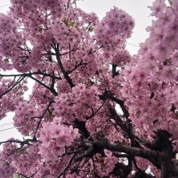 おはようございます?