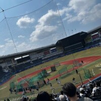 負けてもうた?