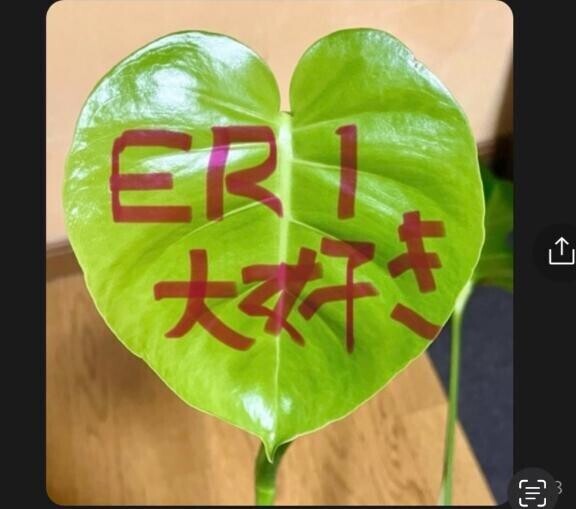 船橋の昼間のますやスタッフについて。