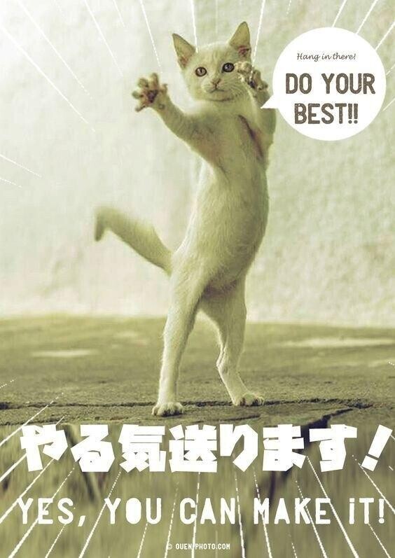おはよう?
