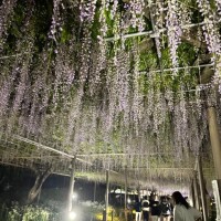 次回25日よりお願い致します