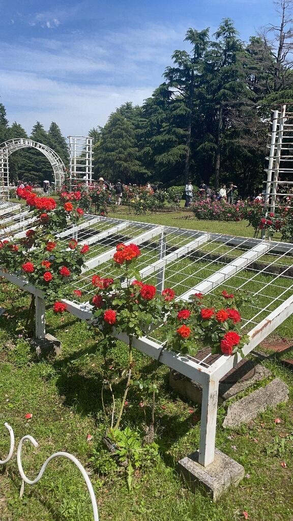 お休みの一日