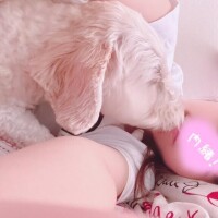 17時から！