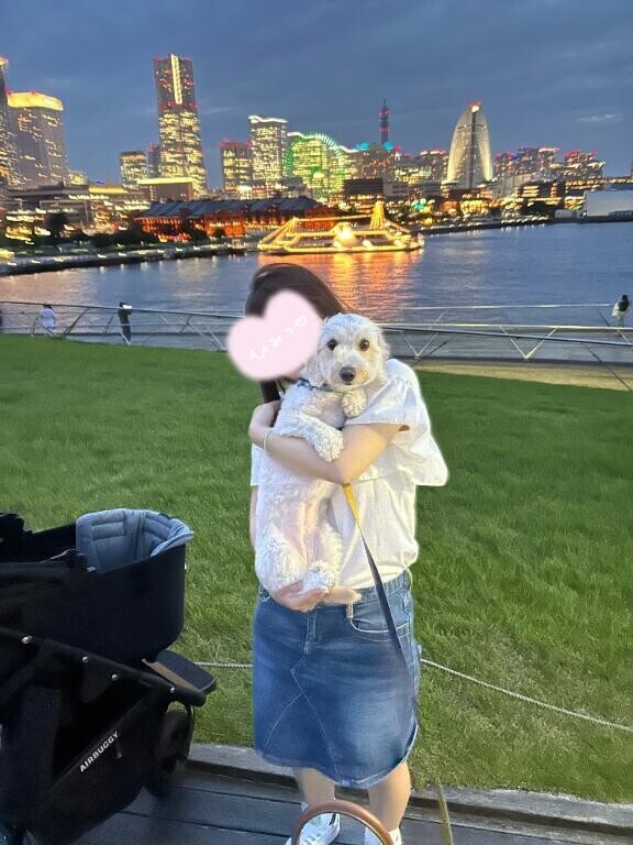 お散歩????