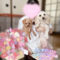 可愛いの大渋滞??