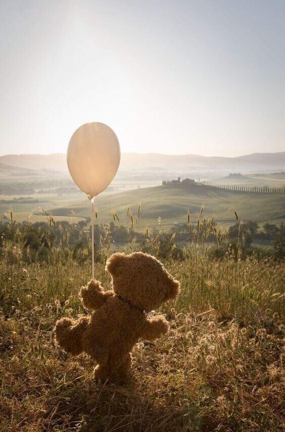 おはようございます??