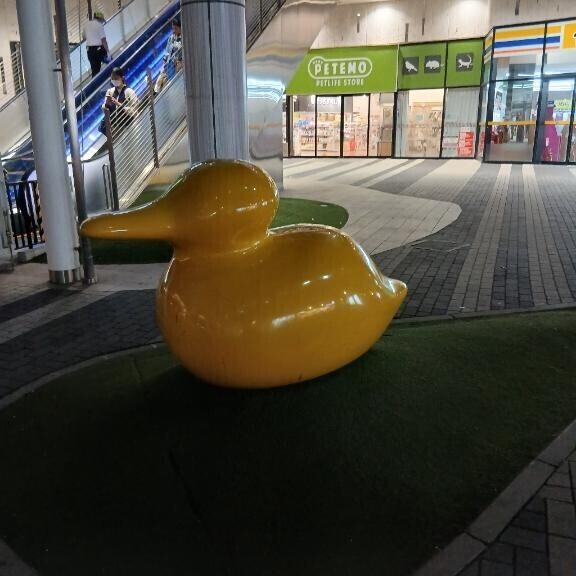 おはようございます??