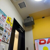 夢咲優羽(ゆめさきゆう)