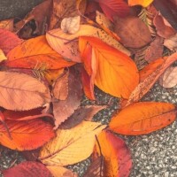 健康診断！！！