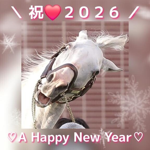 A Happy New Year