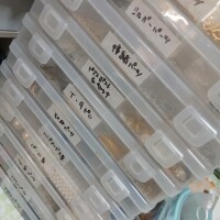 お題日記?from 猫と遊ぶさん