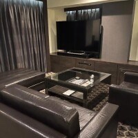 夢咲優羽(ゆめさきゆう)