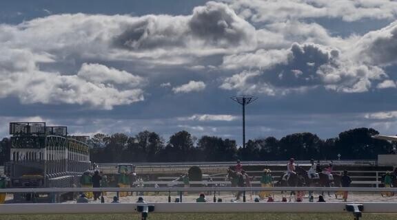 競馬っておもろいんだなあ