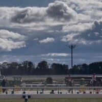 競馬っておもろいんだなあ