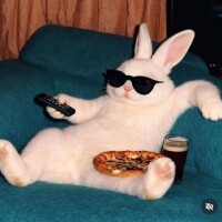 お久しぶりです?